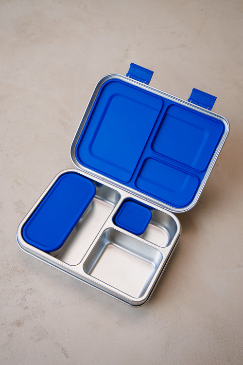 Blueberry Pie Lunchbox