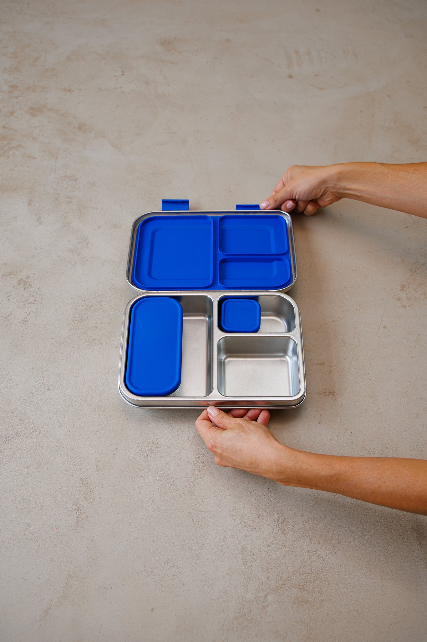 Blueberry Pie Lunchbox